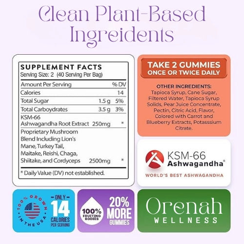 Wild Mushroom Gummies