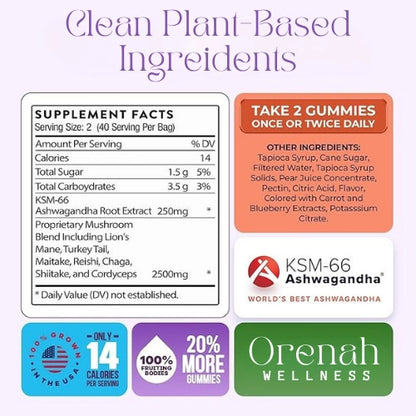 Wild Mushroom Gummies